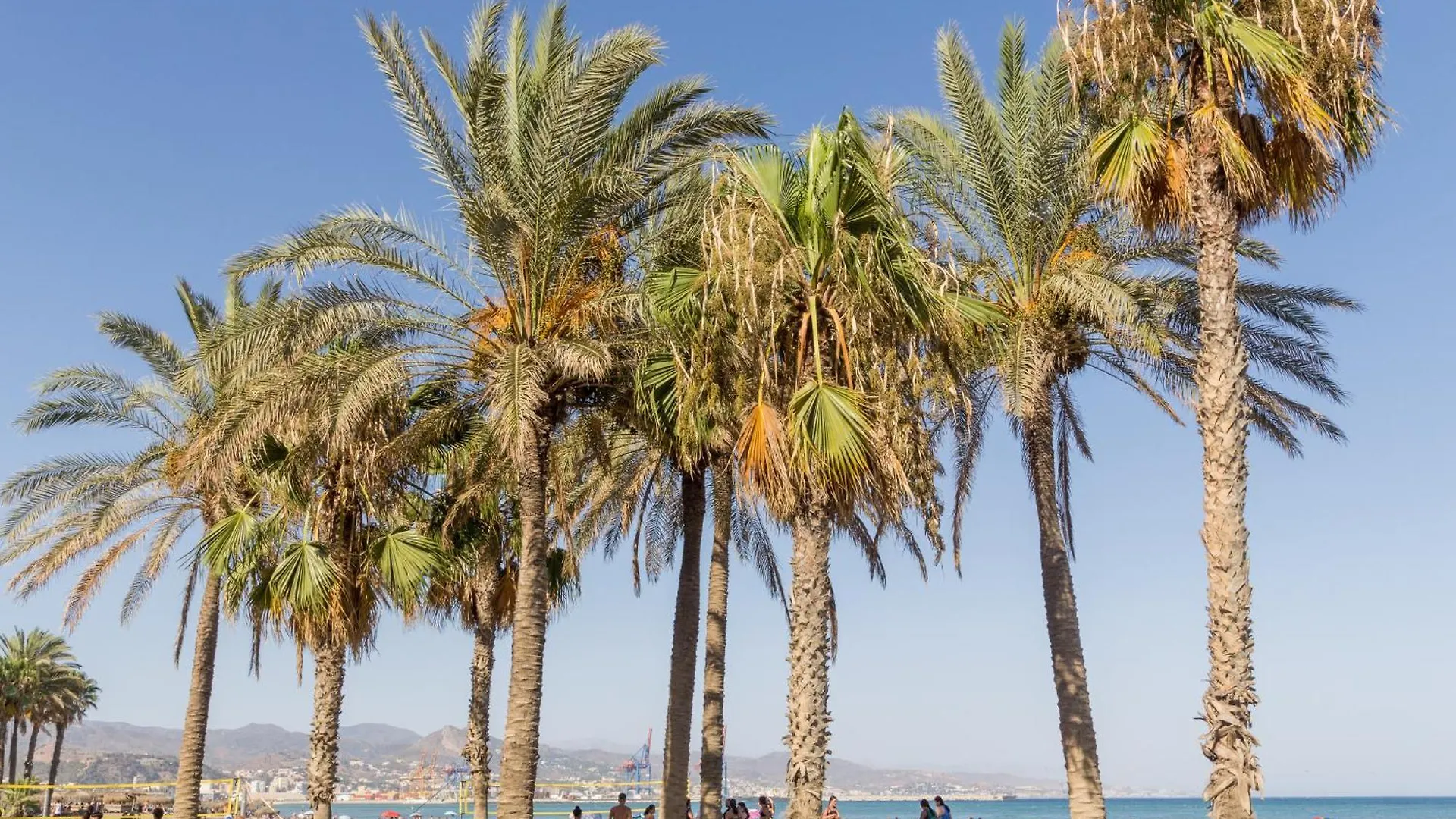 Atico Frente Al Mar , En Calle Pacifico Málaga